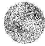 凤凰 飞鸟 矢量线稿 