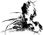 兰花 花草 假山 矢量