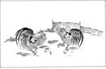 公鸡 斗鸡  线图 图腾