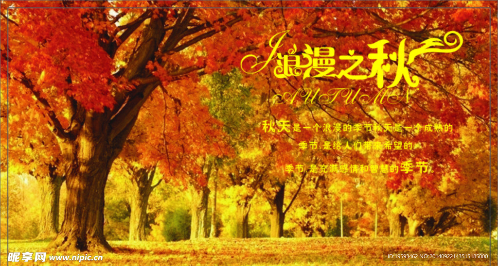 明信片 信函