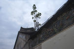 屋檐