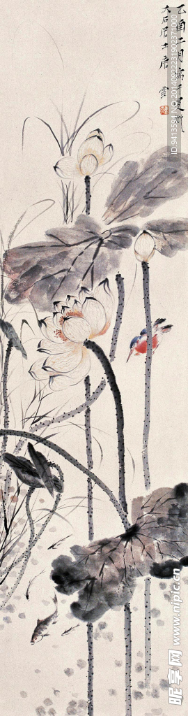 荷花
