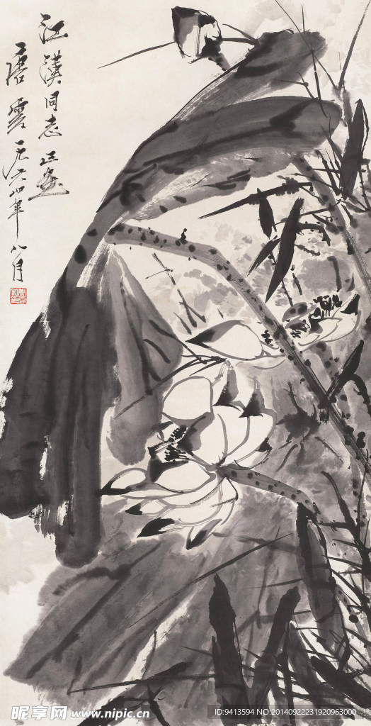 荷花