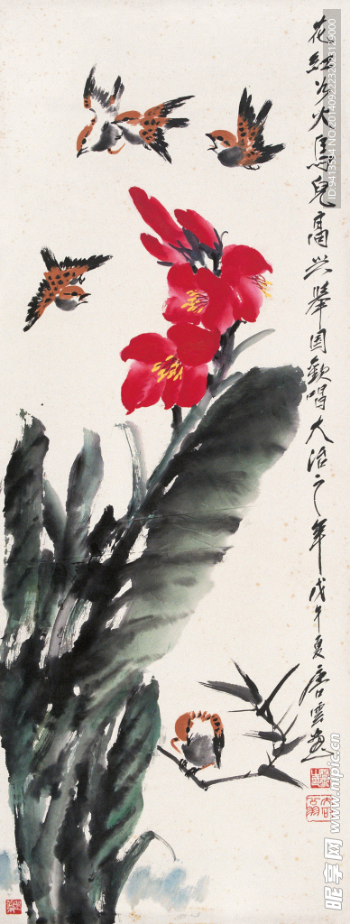 红花小鸟