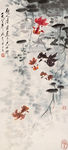 金鱼