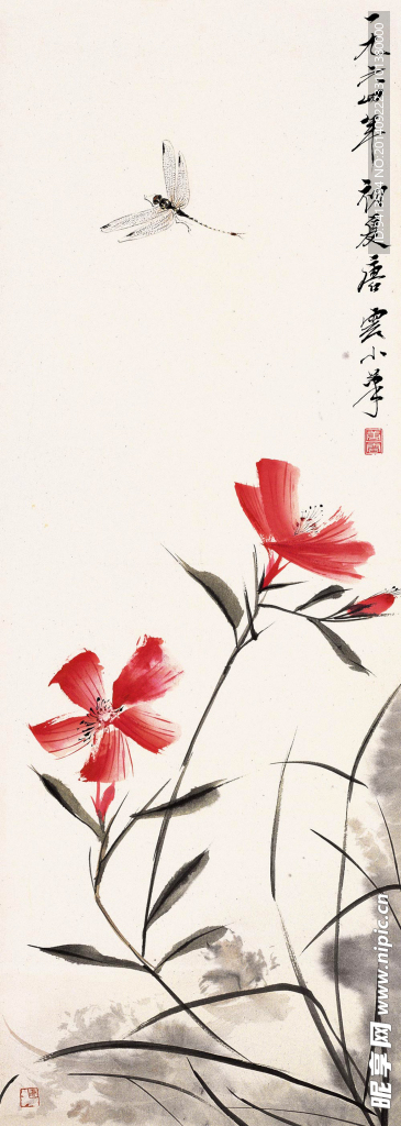 秋花蜻蜒