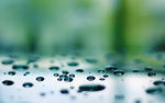 水珠