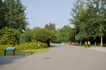 森林公园路上