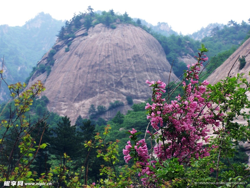 南瓜峰