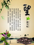 望诊