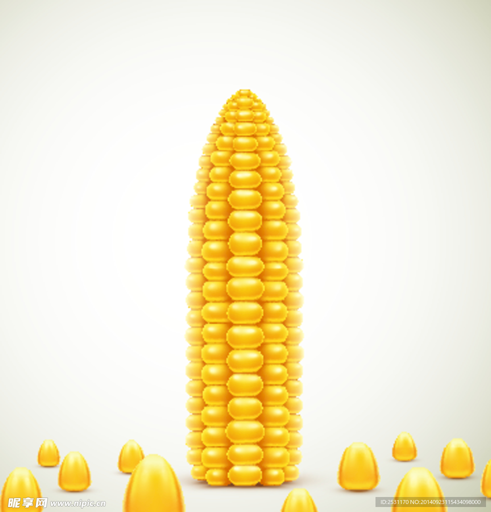 玉米