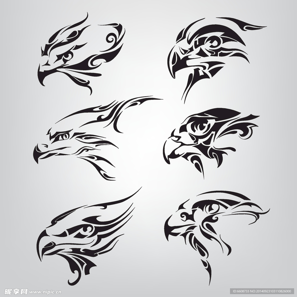 老鹰logo图标