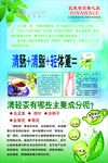 瑞倪维儿