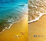 黄金海滩