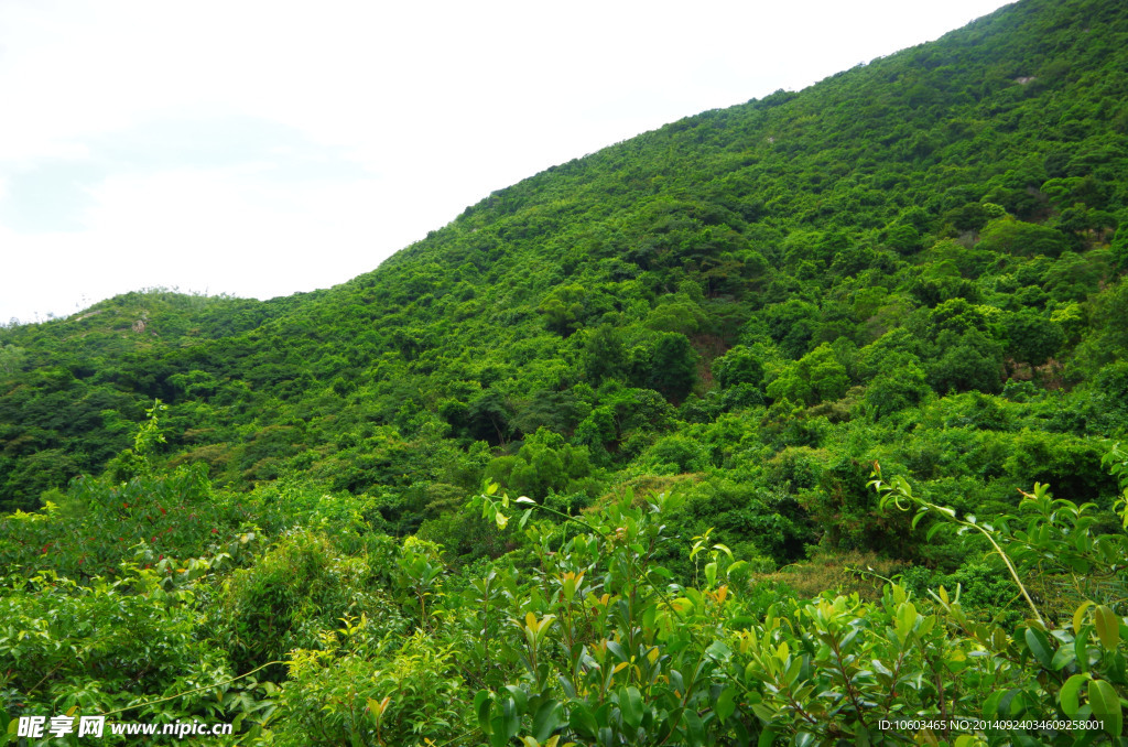 海岸山水 大鹏半岛