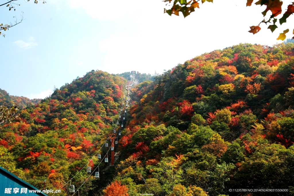 老界岭风光