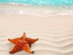 海滩