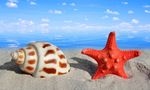 海滩