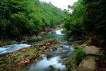 阳明山风光