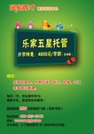 托管传单