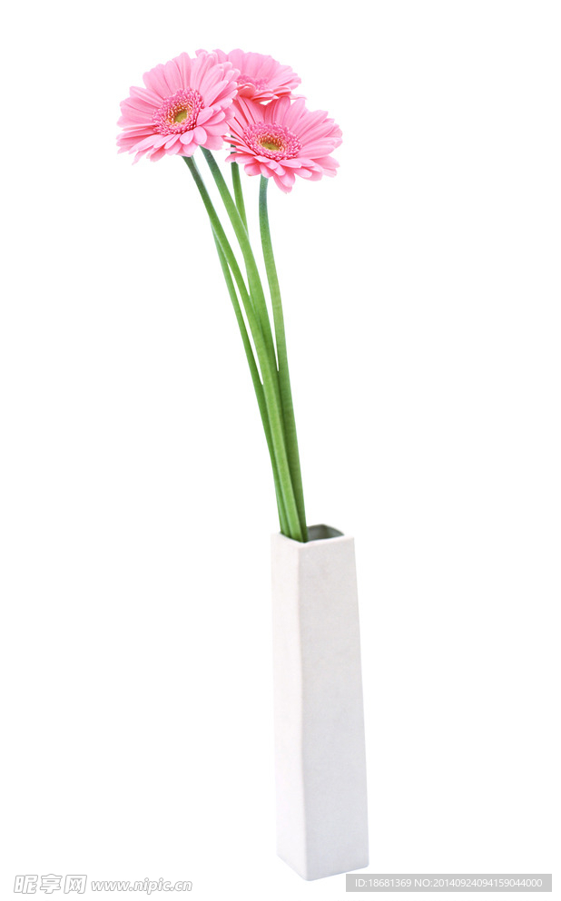 花卉