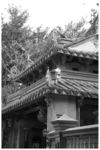 厦门风光
