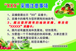 采摘注意事项