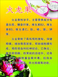 火龙果