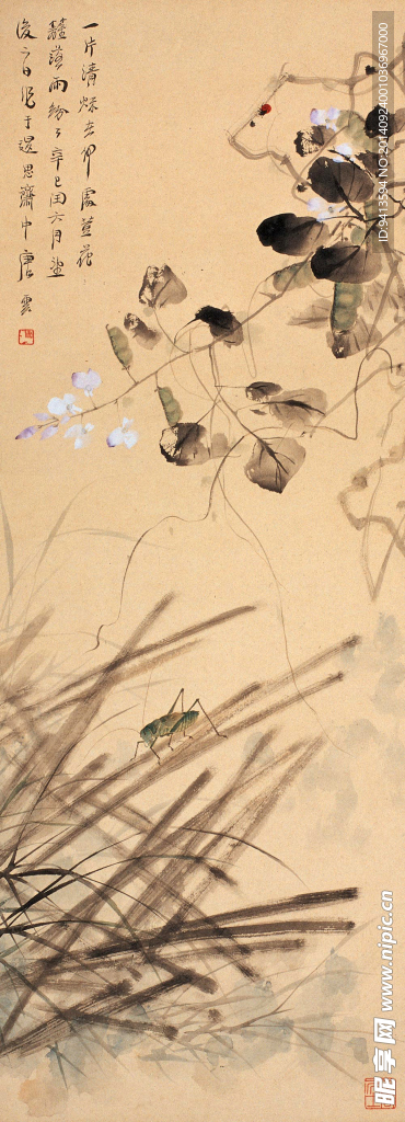 荳花秋虫