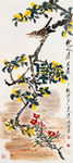 桂树鸣禽