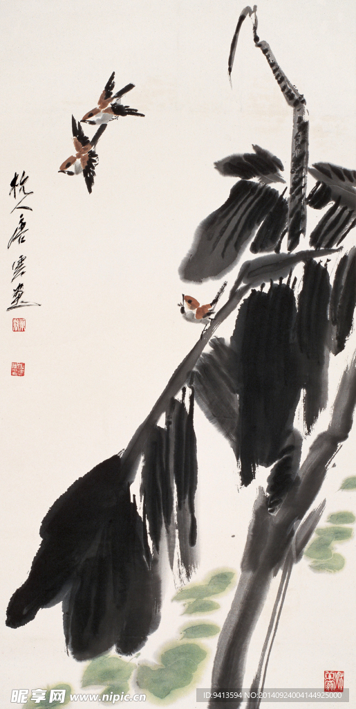 芭蕉小鸟