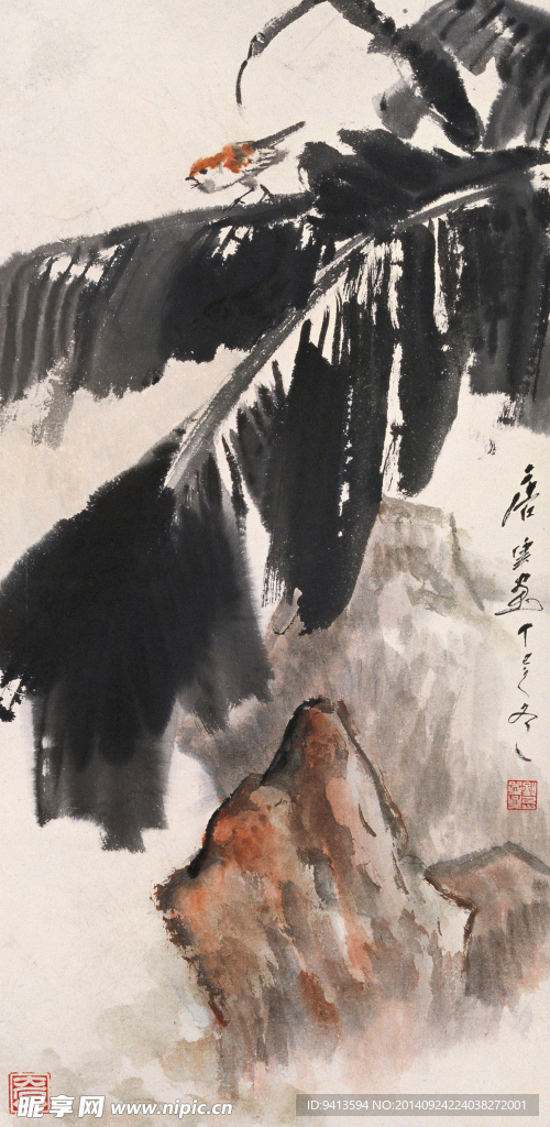 芭蕉小鸟