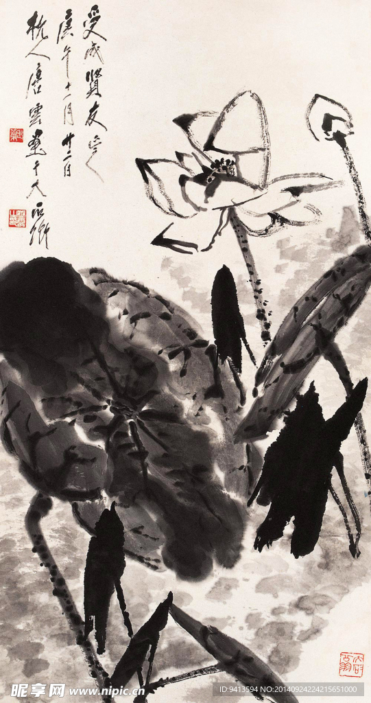 白荷香远图
