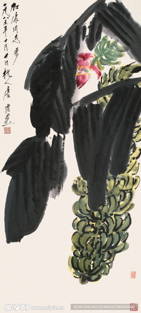 红花芭蕉