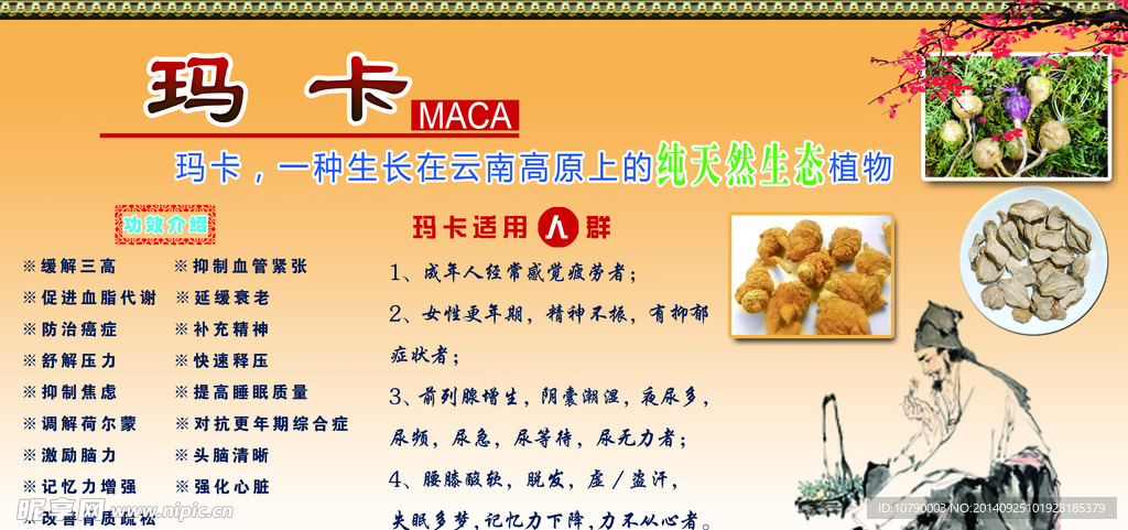 玛卡简介