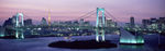 横幅城市夜景大桥风光