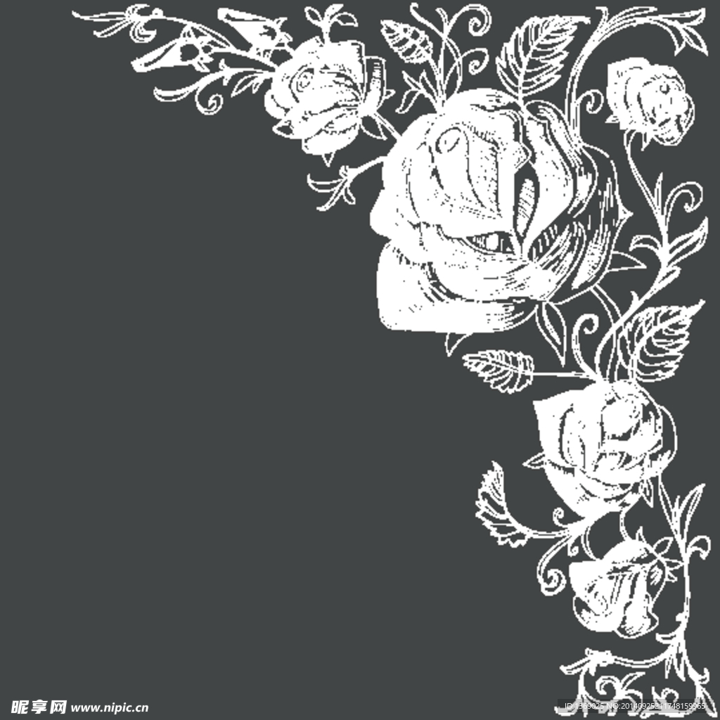 玫瑰花背景