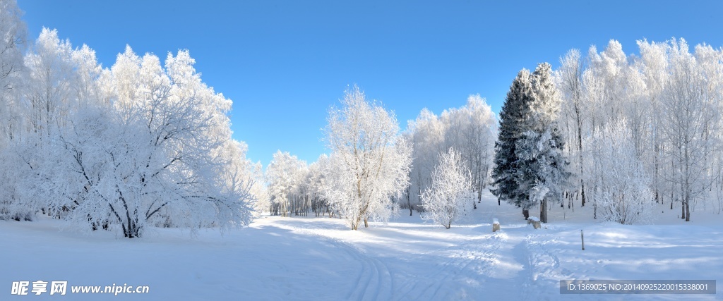 冬日雪景