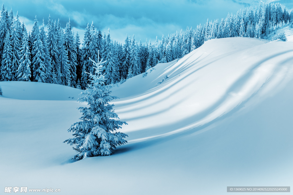 冬日雪景