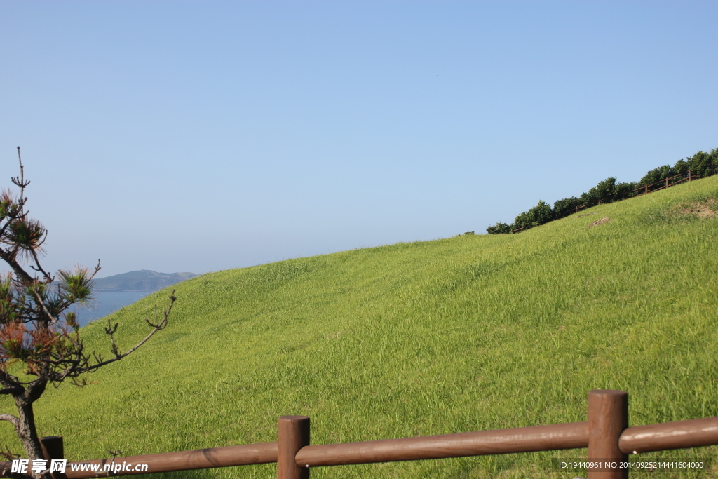 济州岛