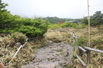 济州岛