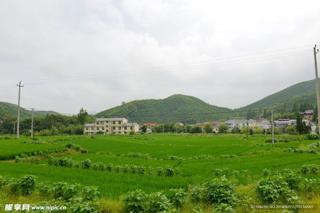 莫干山