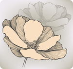 手绘花卉