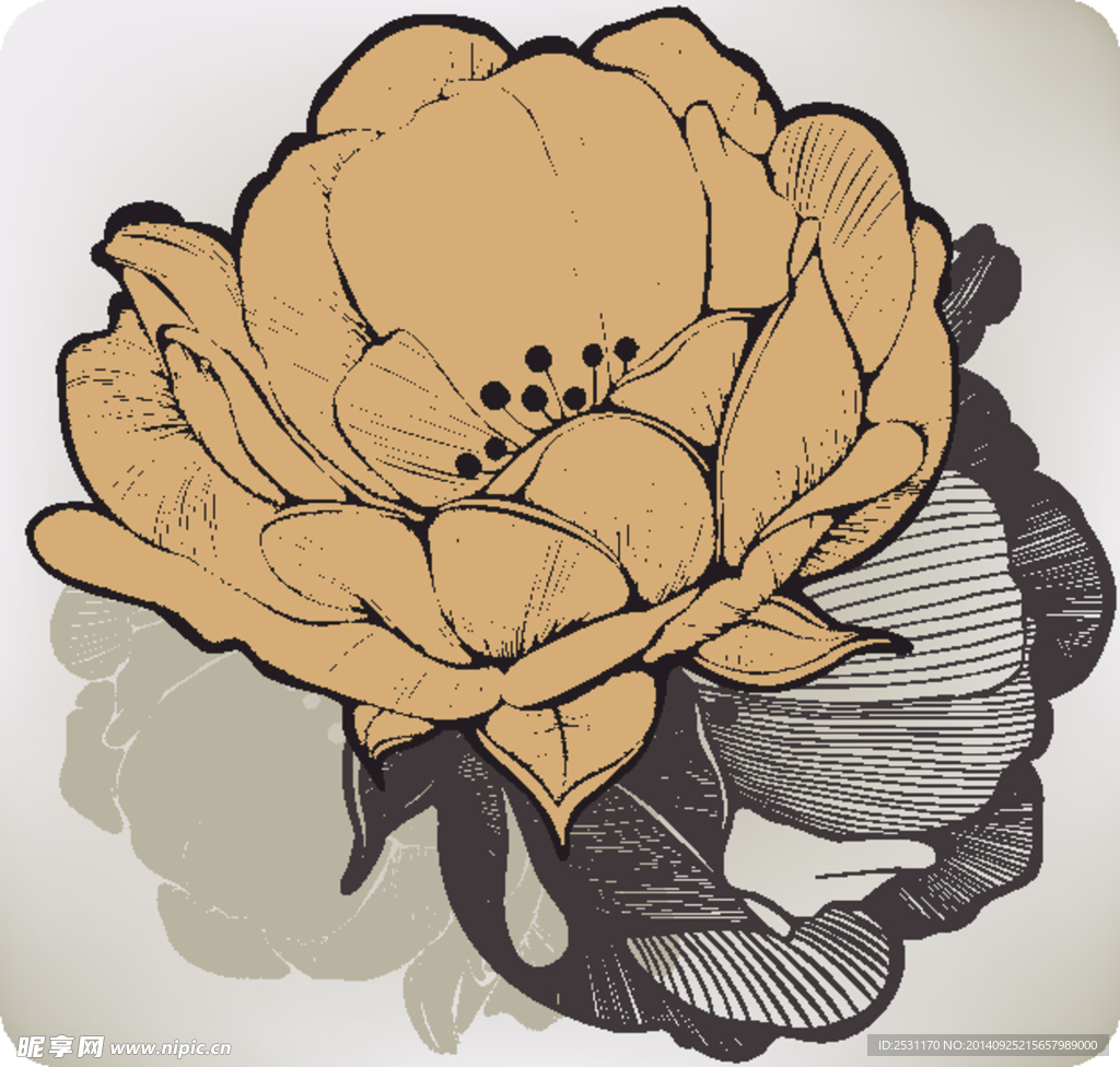 手绘花卉