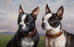 两只斗牛犬