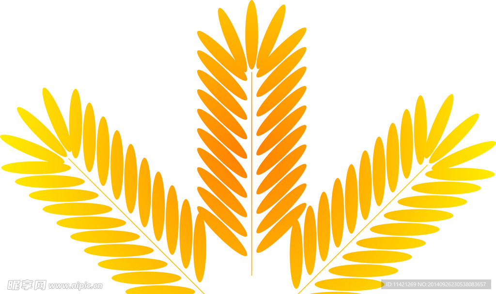 麦子