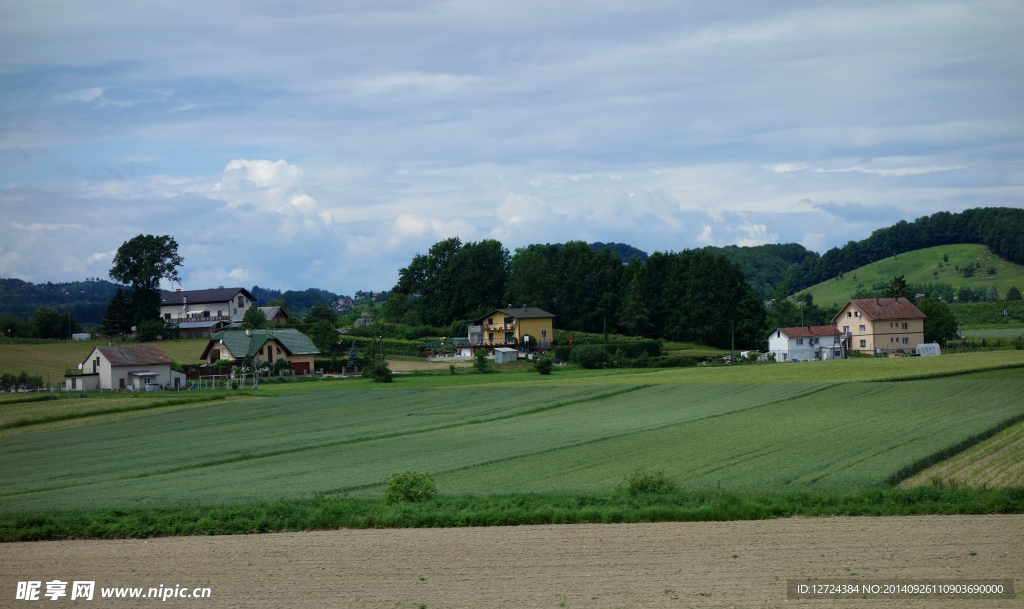 田野