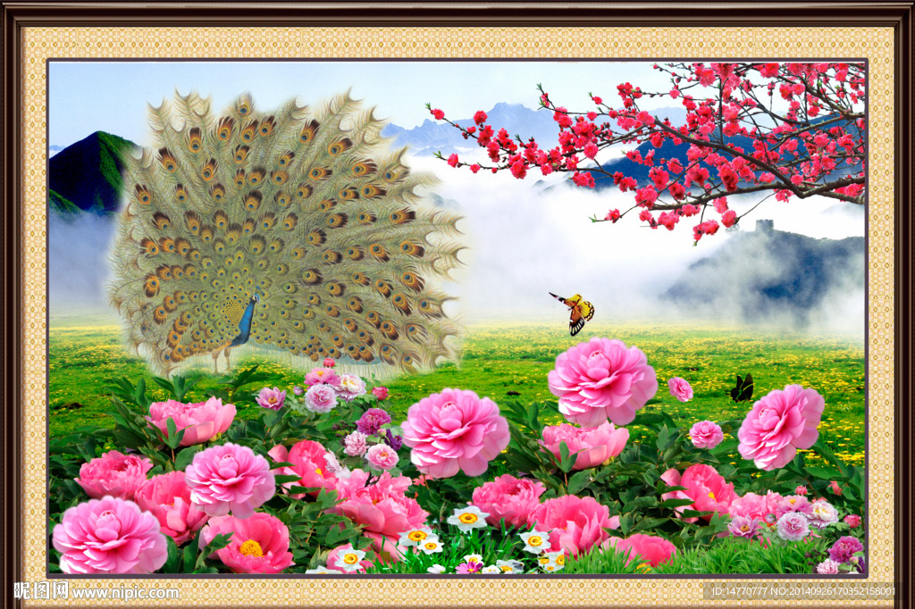 花开富贵 孔雀图