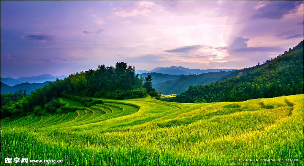 唯美奥林匹克公园草地