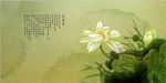 莲花模板